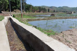 Kanal Irigasaun be natar no kolam ikan 
