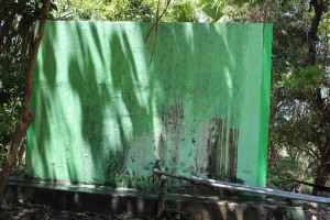 Tanke grafitasaun fornese bee mos ba komunidade iha Suku Betano
