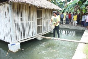 Kolam Hakiak Ikan neebe hetan Fornesementu bee husi Irigasaun Suku Lalawa, Salele Bo'ot