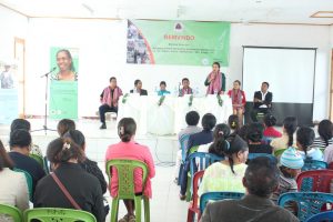 Diretora PNDS, Dulce Guterres Junior, fo hela ninia intervensaun iha Seminariu Kona-ba Partisipasaun no Hakbi’it Feto Hodi Hasaé Redemento Ekonomia Familia Nian Liu Husi Programa Dezenvolvimento Suku ba Implementasaun Programa PNDS iha Munisipiu Aileu.