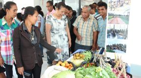 Expozisaun Produtu Lokal neebe aprezenta husi inan feto sira iha Munisipiu Baucau