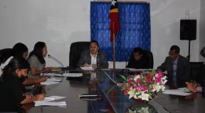 Diretora Actual PNDS Aprezenta lalaok Implementasaun Fundu Covid ba Membru Steering Committee.