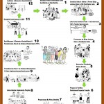 Marking poster showing the 12 step process for community implementation, written in Tetun.