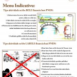 Marking poster listing the types of infrastructure projects communities can and cannot build using PNDS funds. Written in Tetun.