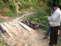 Two men look at a log bridge.