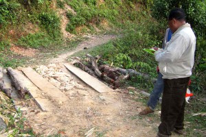 Two men look at a log bridge.
